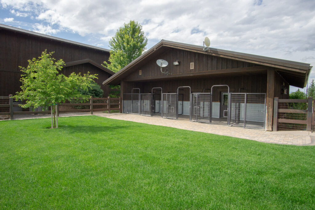 Y-Bell Ranch – Miscellaneous – Image 4