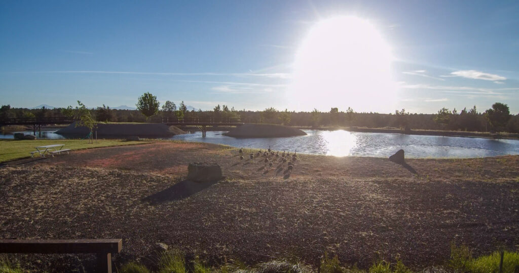 Y-Bell Ranch – Miscellaneous – Image 7