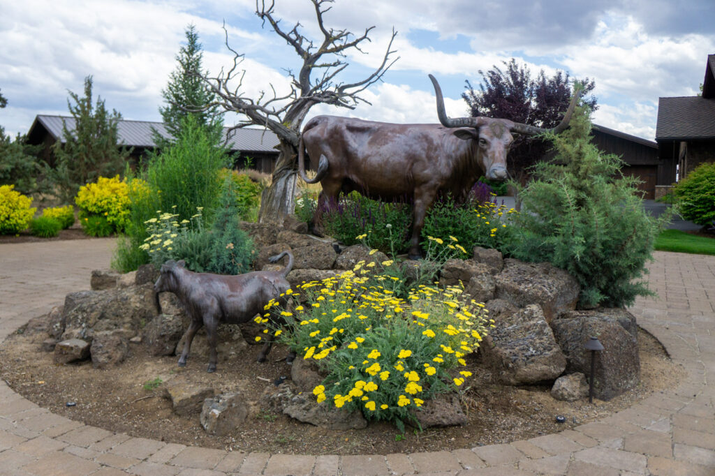 Y-Bell Ranch – Miscellaneous – Image 10