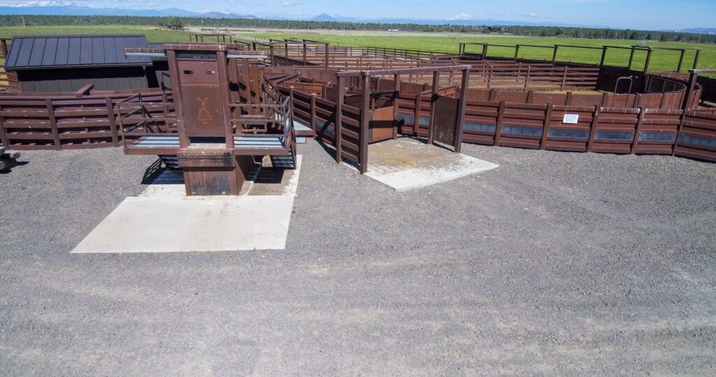 Y-Bell Ranch – Miscellaneous – Image 16