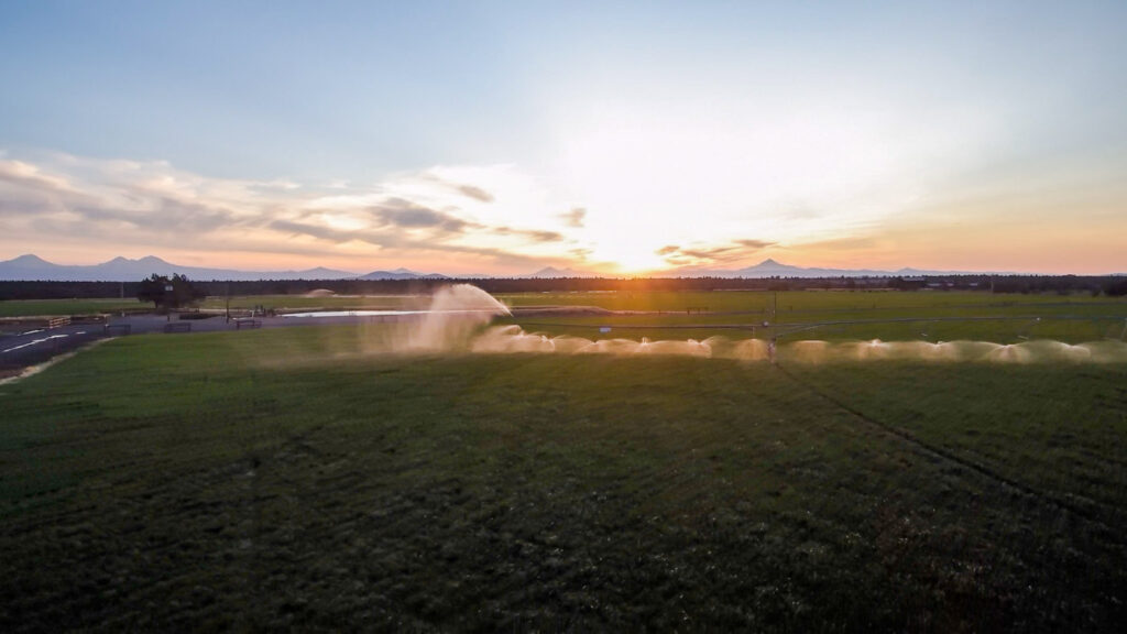 Y-Bell Ranch – Miscellaneous – Image 19