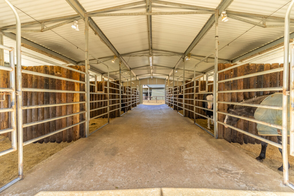 Triple Oaks Ranch – Miscellaneous – Image 31