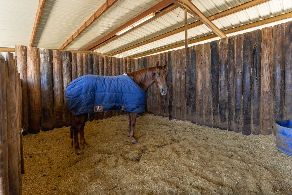 Triple Oaks Ranch – Miscellaneous – Image 32