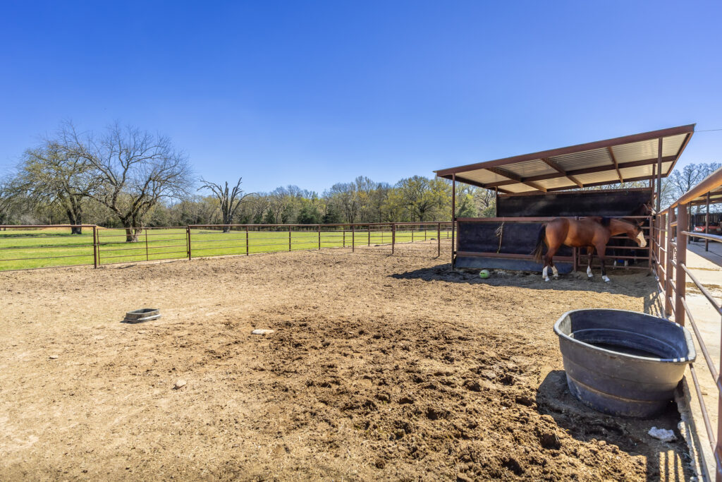 Triple Oaks Ranch – Miscellaneous – Image 34