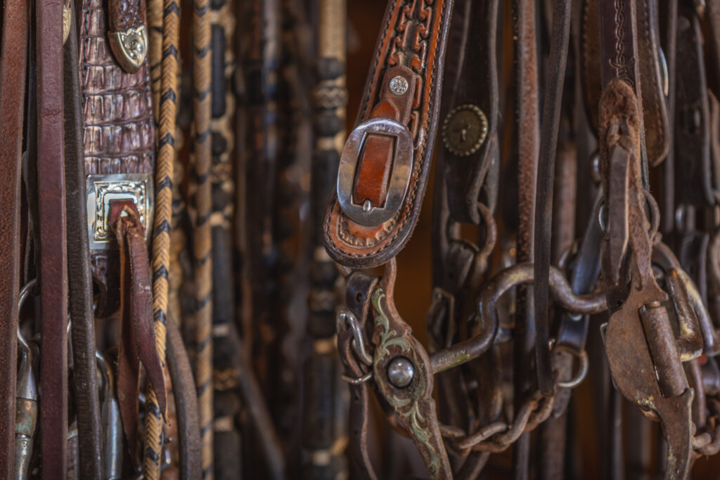 Triple Oaks Ranch – Miscellaneous – Image 44