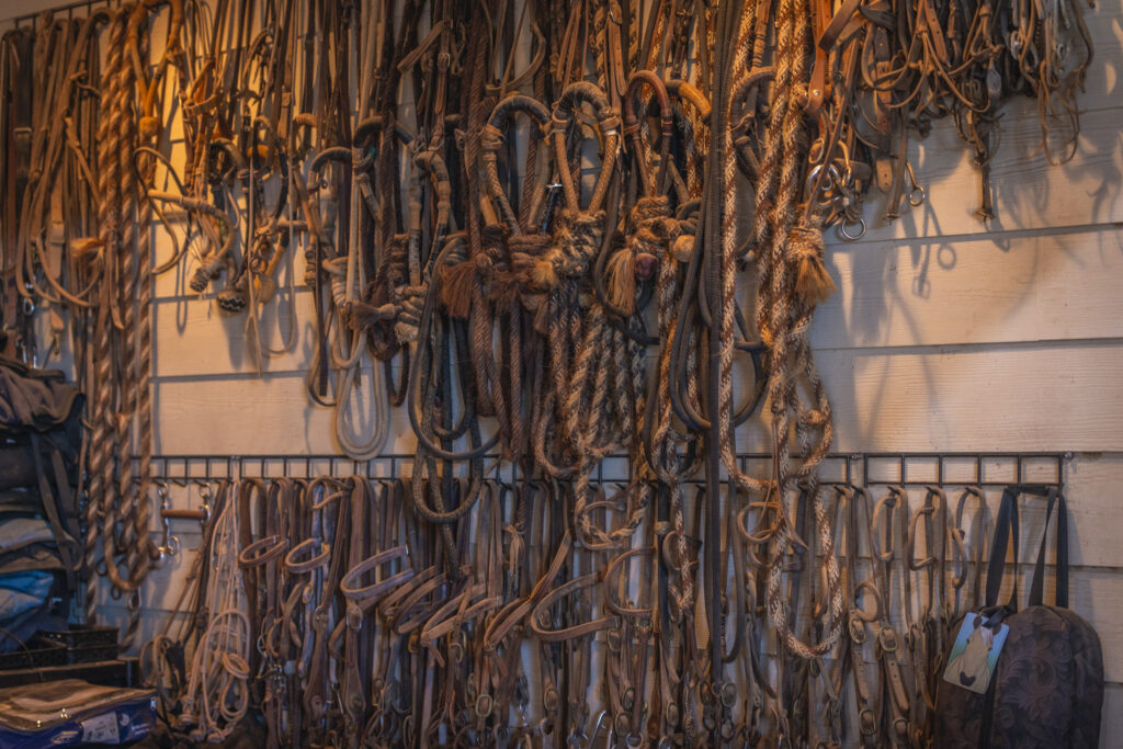 Triple Oaks Ranch – Miscellaneous – Image 45