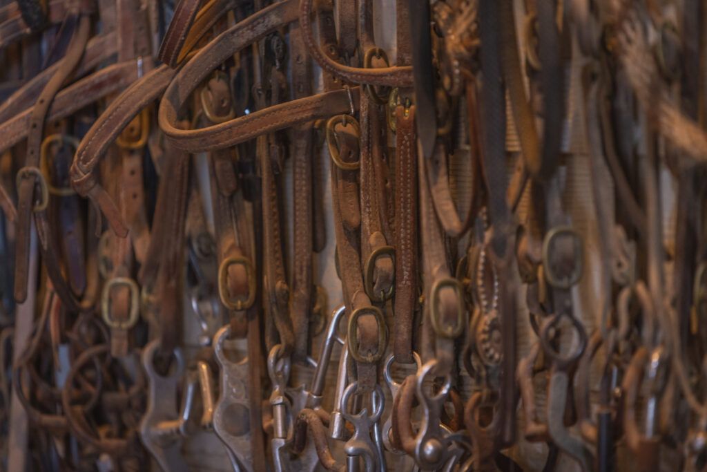 Triple Oaks Ranch – Miscellaneous – Image 47