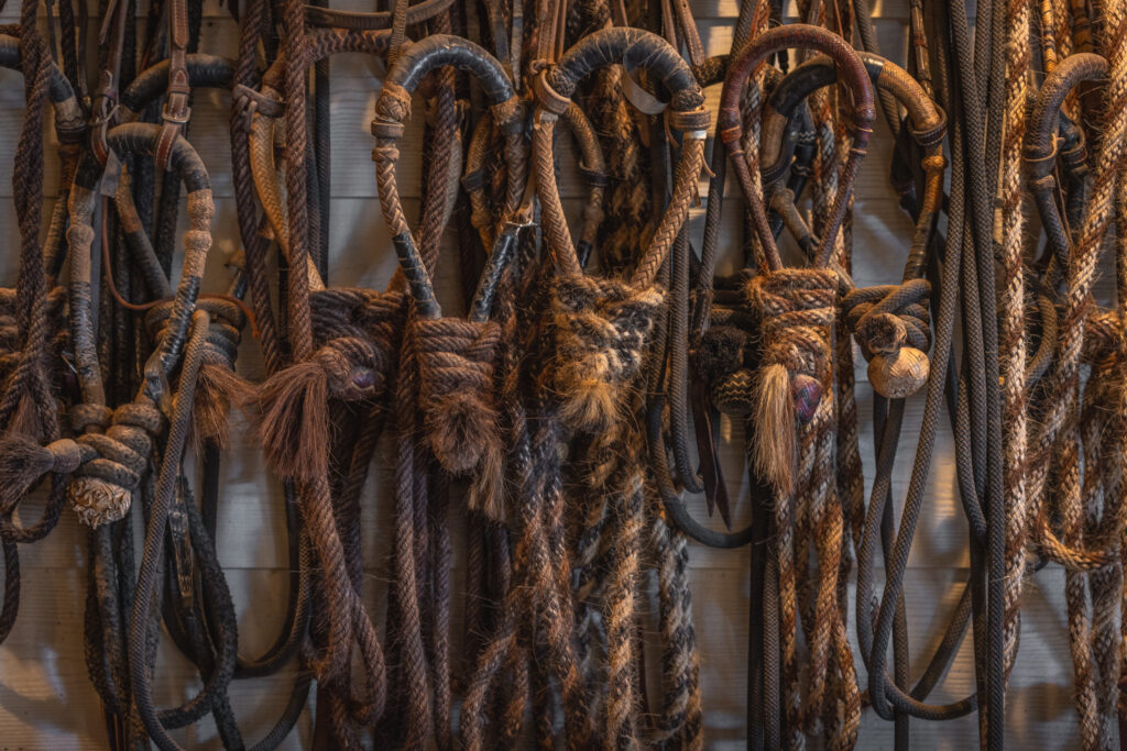 Triple Oaks Ranch – Miscellaneous – Image 49