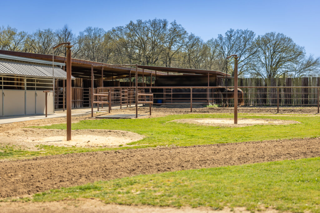 Triple Oaks Ranch – Miscellaneous – Image 52