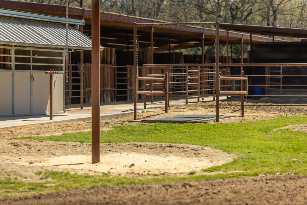Triple Oaks Ranch – Miscellaneous – Image 53