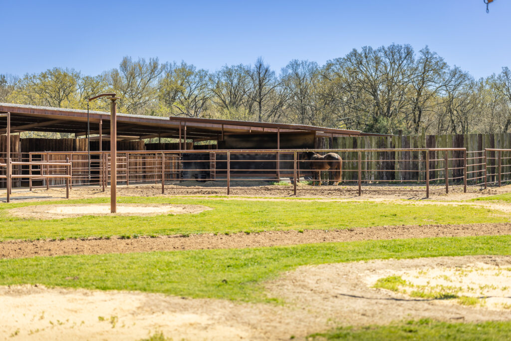 Triple Oaks Ranch – Miscellaneous – Image 56