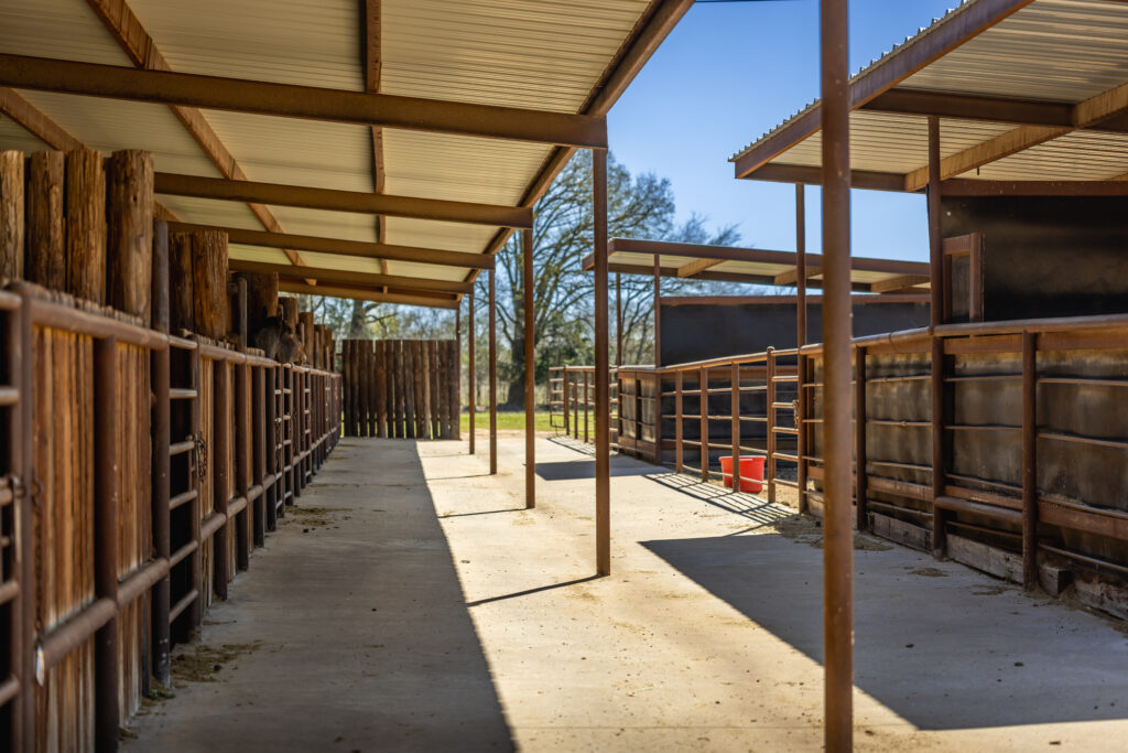 Triple Oaks Ranch – Miscellaneous – Image 59