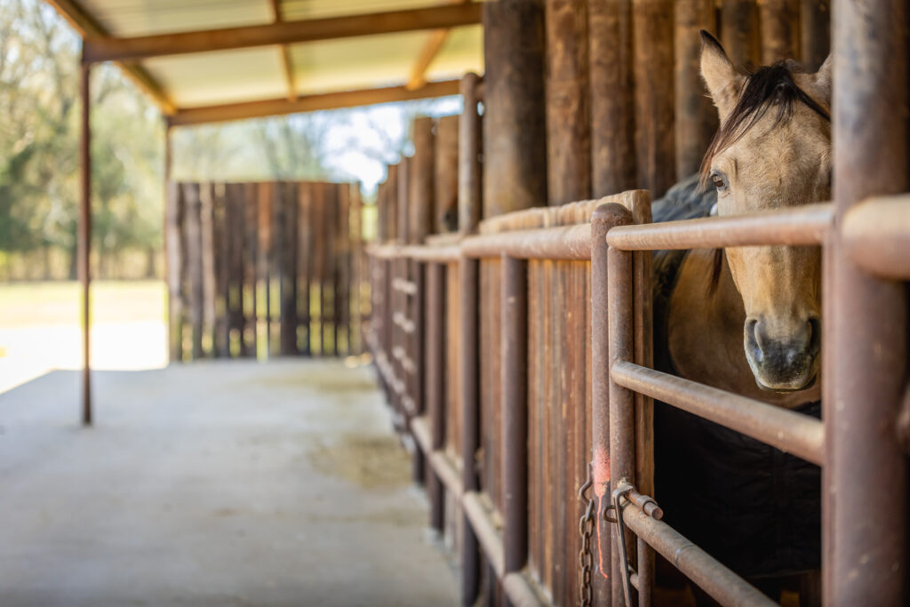 Triple Oaks Ranch – Miscellaneous – Image 62