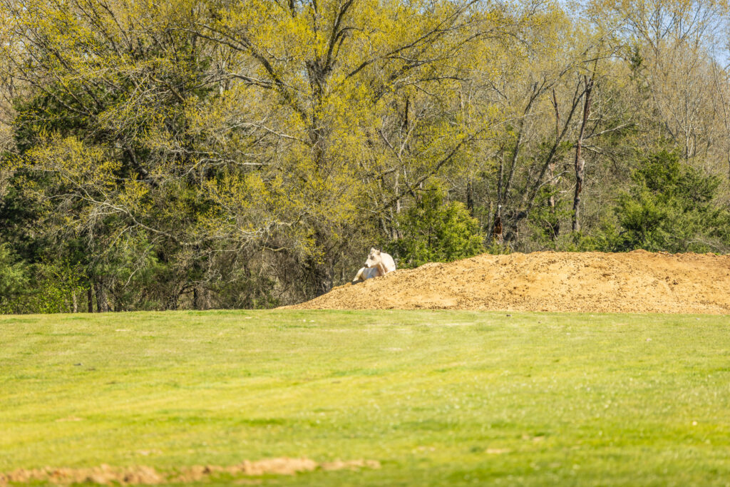 Triple Oaks Ranch – Miscellaneous – Image 63