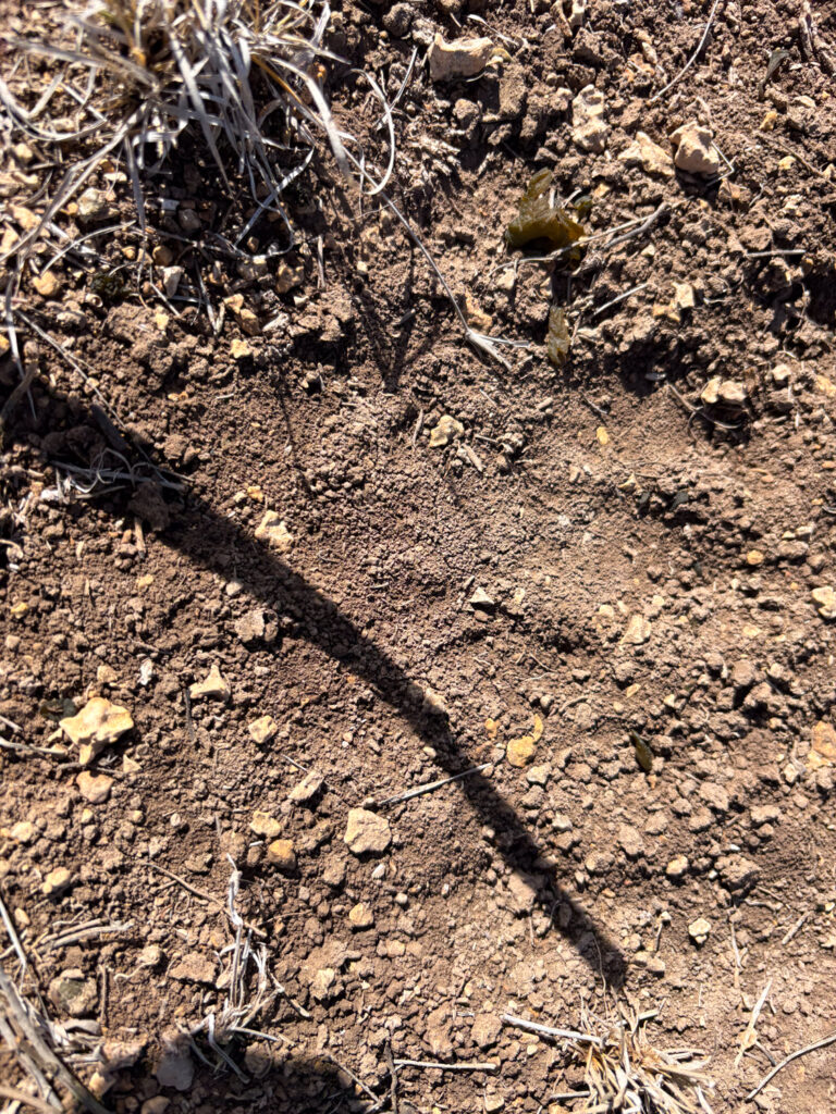 Juno 44 Ranch – Wildlife – Image 1