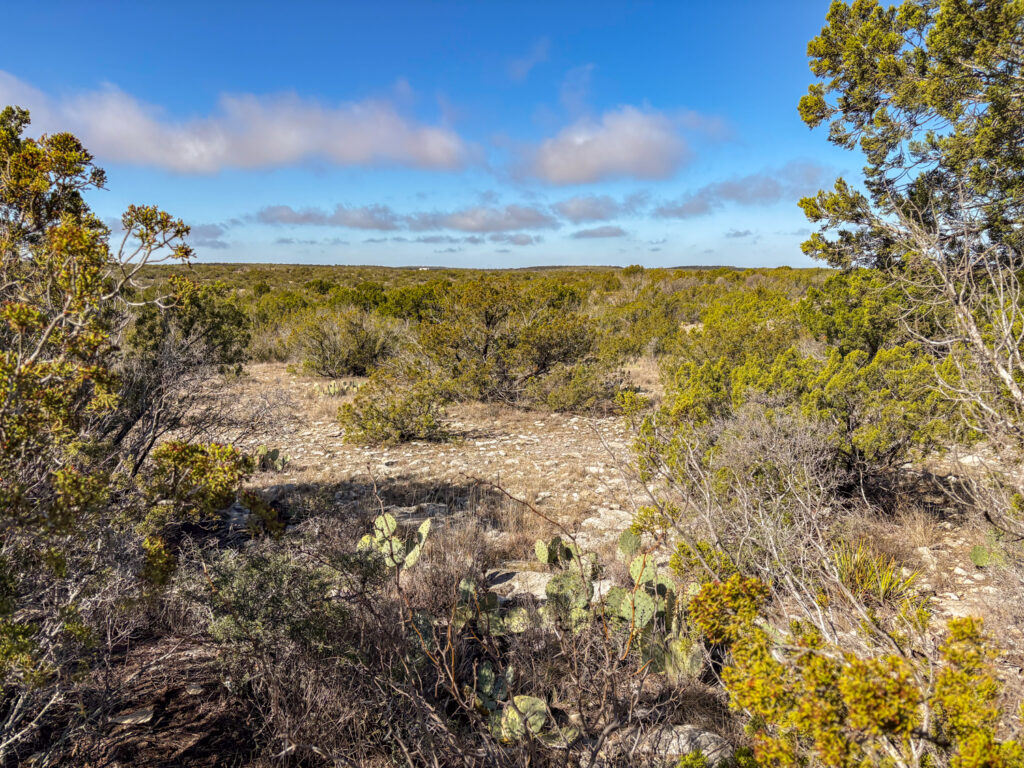Juno 44 Ranch – Land & Terrain – Image 2