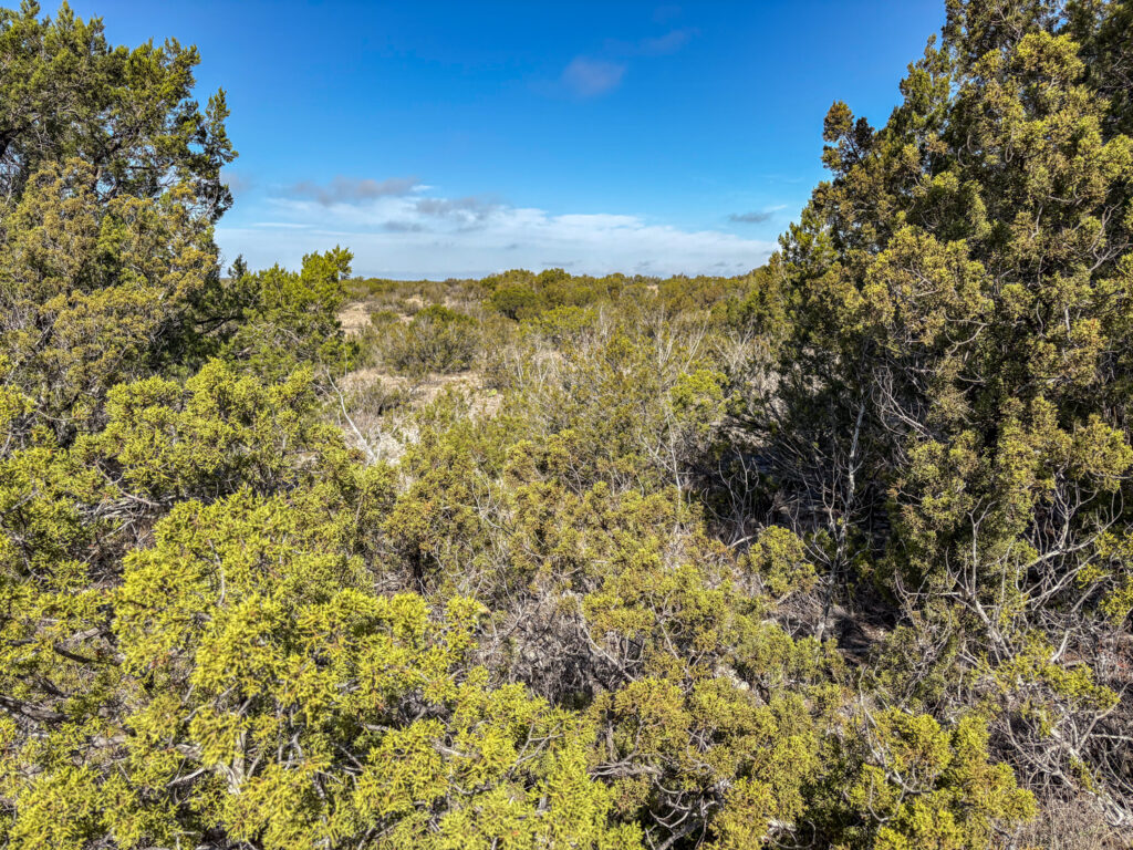 Juno 44 Ranch – Land & Terrain – Image 4