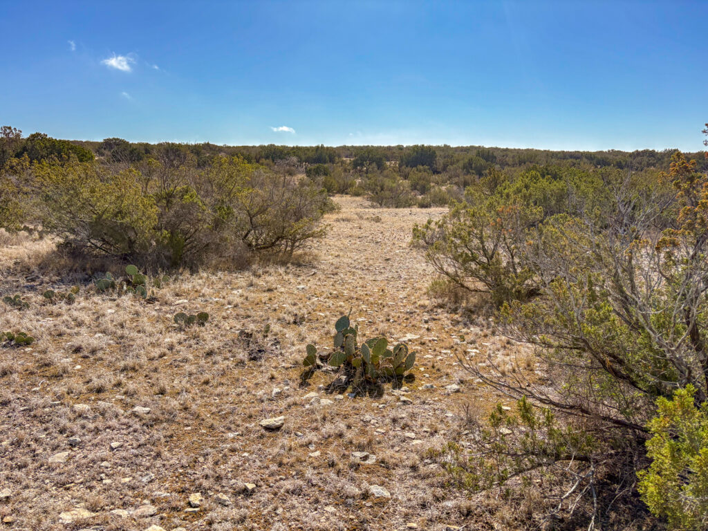 Juno 44 Ranch – Land & Terrain – Image 5