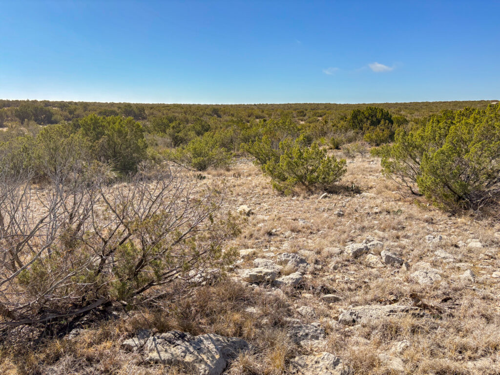 Juno 44 Ranch – Land & Terrain – Image 7