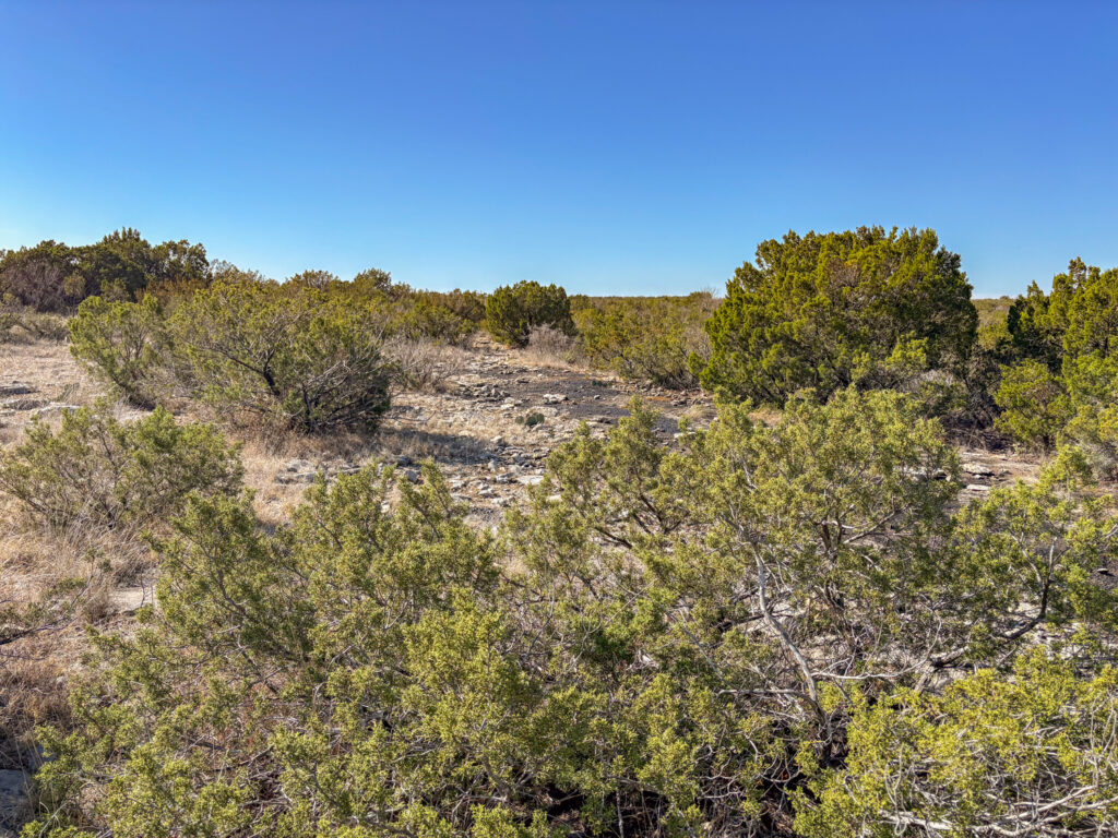 Juno 44 Ranch – Miscellaneous – Image 1