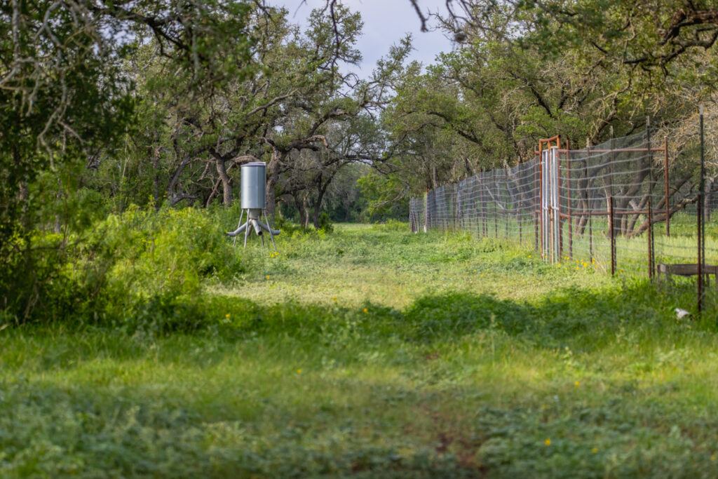 Aspire Wildlife Ranch – Feeders & Blinds – Image 1