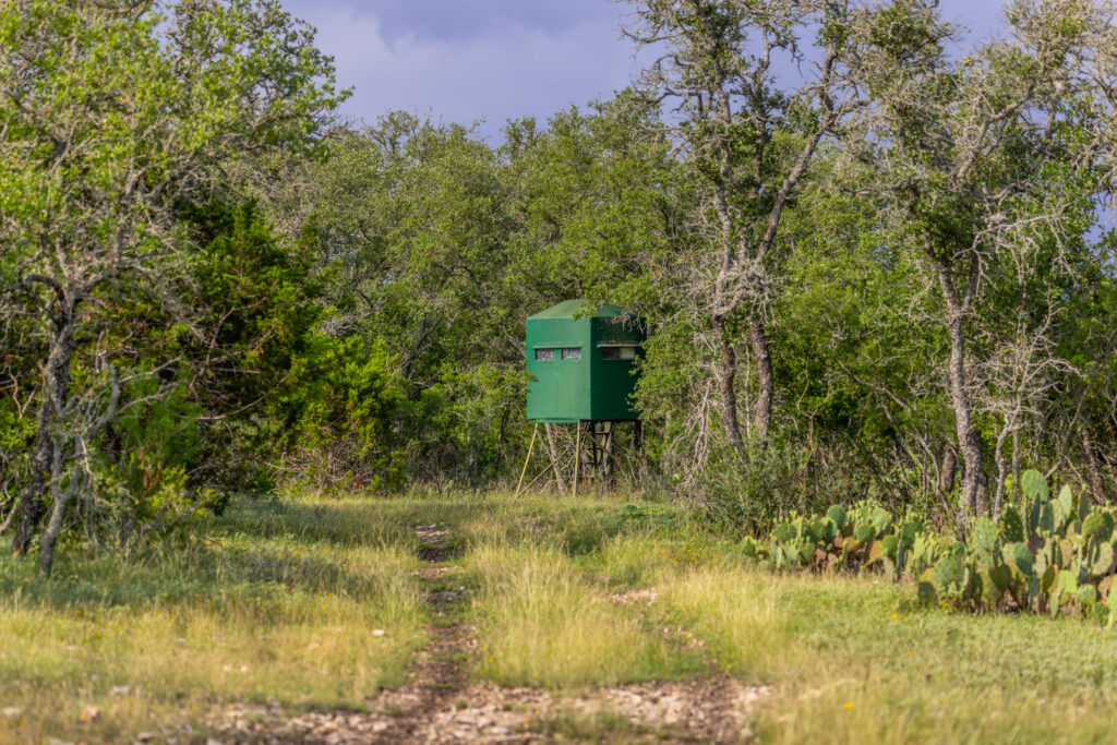 Aspire Wildlife Ranch – Feeders & Blinds – Image 2