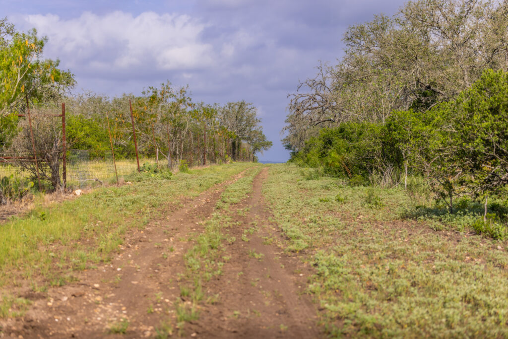 Aspire Wildlife Ranch – Land & Terrain – Image 5
