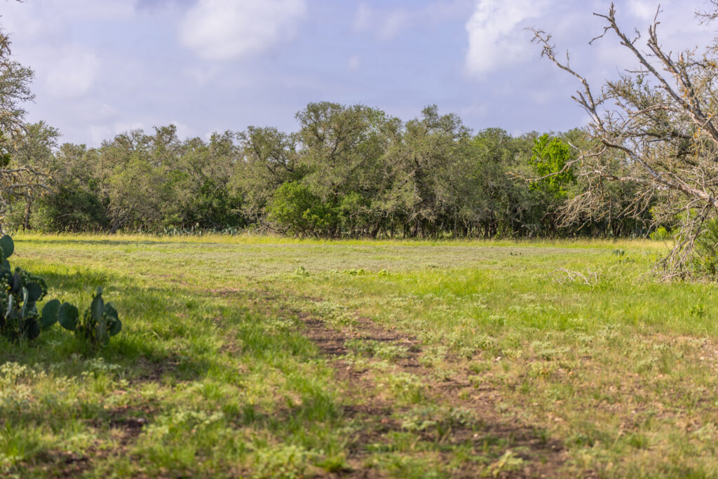 Aspire Wildlife Ranch – Land & Terrain – Image 6