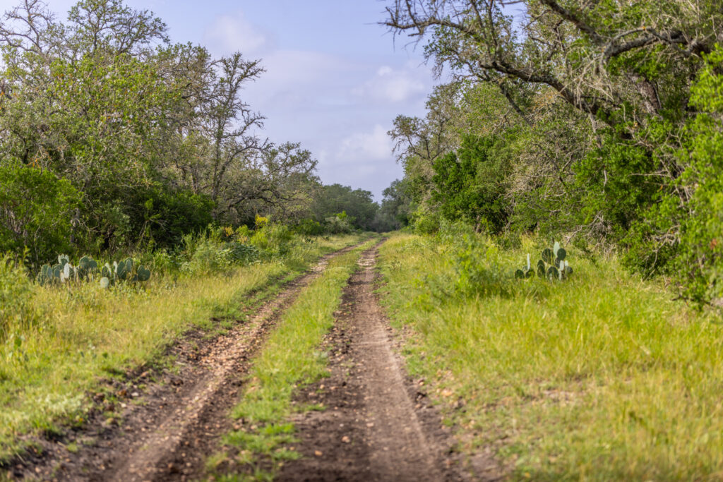Aspire Wildlife Ranch – Roads & Trails – Image 1