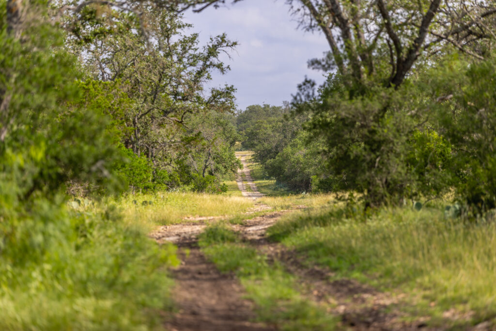 Aspire Wildlife Ranch – Land & Terrain – Image 2