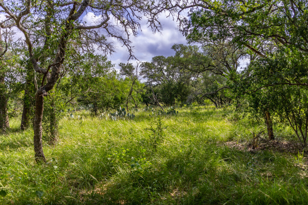 Aspire Wildlife Ranch – Land & Terrain – Image 3