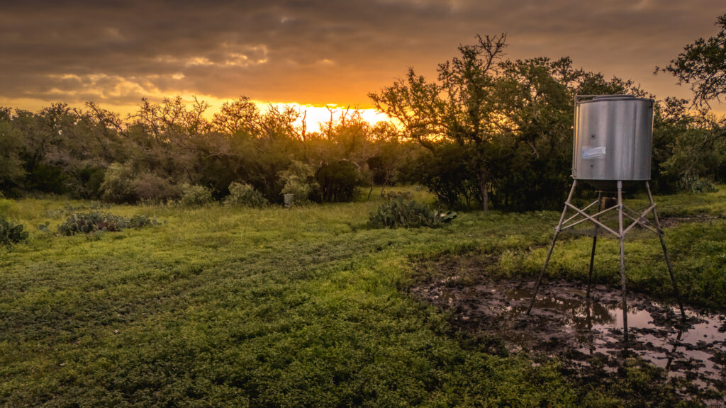 Aspire Wildlife Ranch – Feeders & Blinds – Image 3