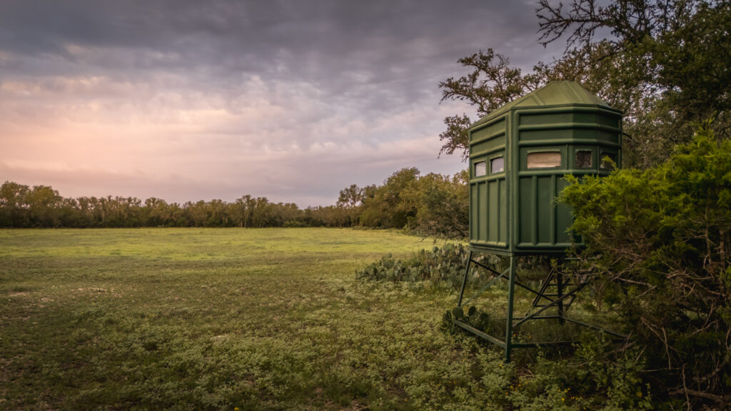 Aspire Wildlife Ranch – Feeders & Blinds – Image 5