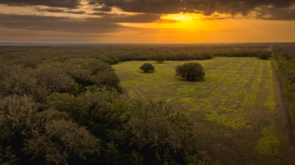 Aspire Wildlife Ranch – Land & Terrain – Image 15