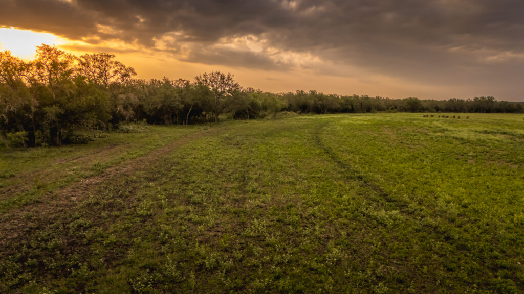 Aspire Wildlife Ranch – Land & Terrain – Image 17
