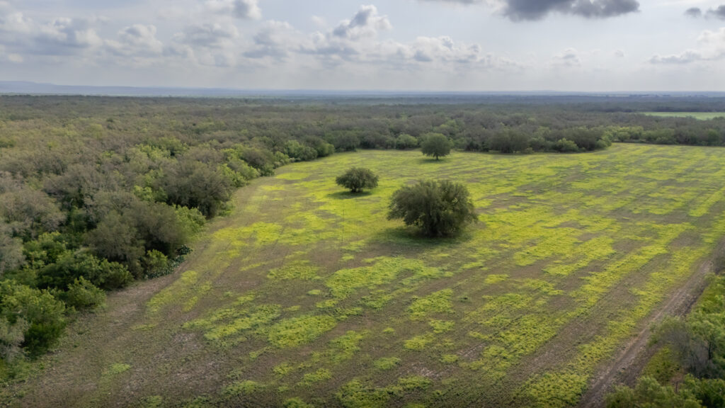 Aspire Wildlife Ranch – Land & Terrain – Image 18
