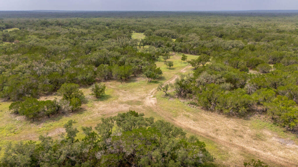 Aspire Wildlife Ranch – Land & Terrain – Image 27