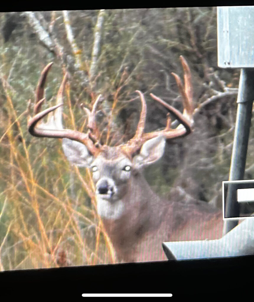 Aspire Wildlife Ranch – Seller-Provided Photos – Image 3