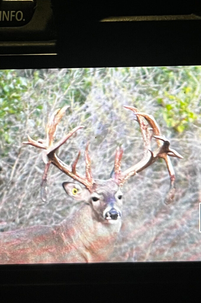 Aspire Wildlife Ranch – Seller-Provided Photos – Image 1