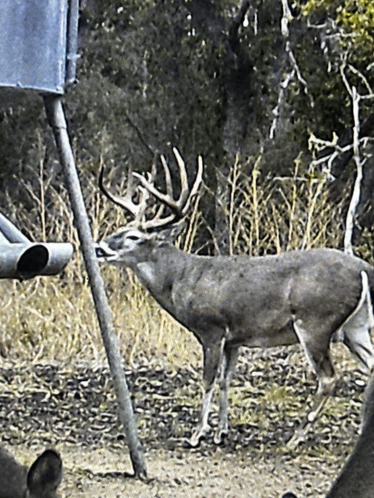Aspire Wildlife Ranch – Seller-Provided Photos – Image 4