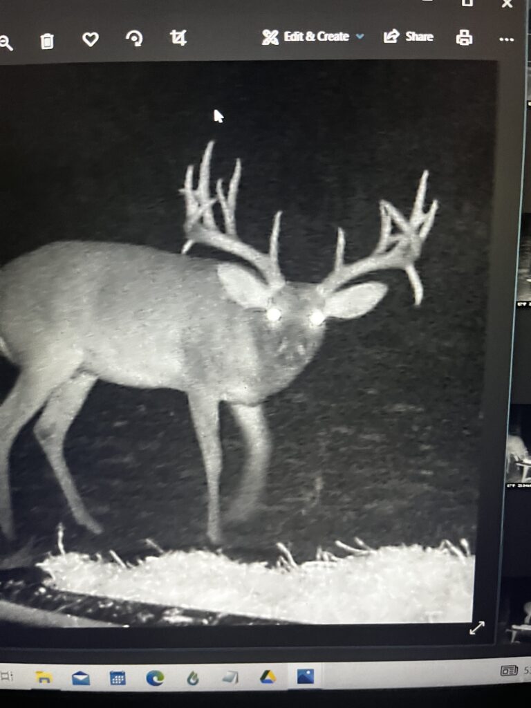 Aspire Wildlife Ranch – Seller-Provided Photos – Image 5