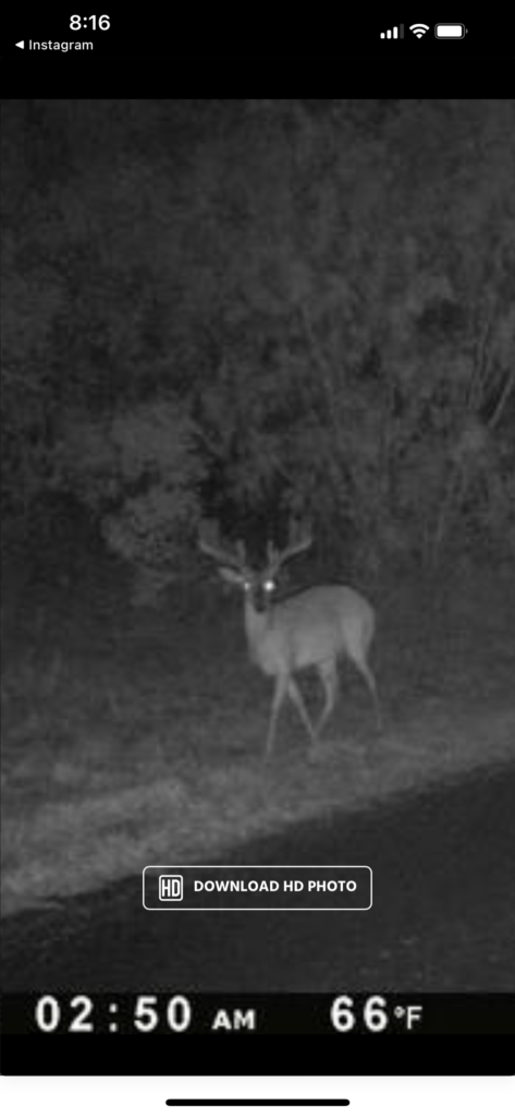 Aspire Wildlife Ranch – Seller-Provided Photos – Image 13