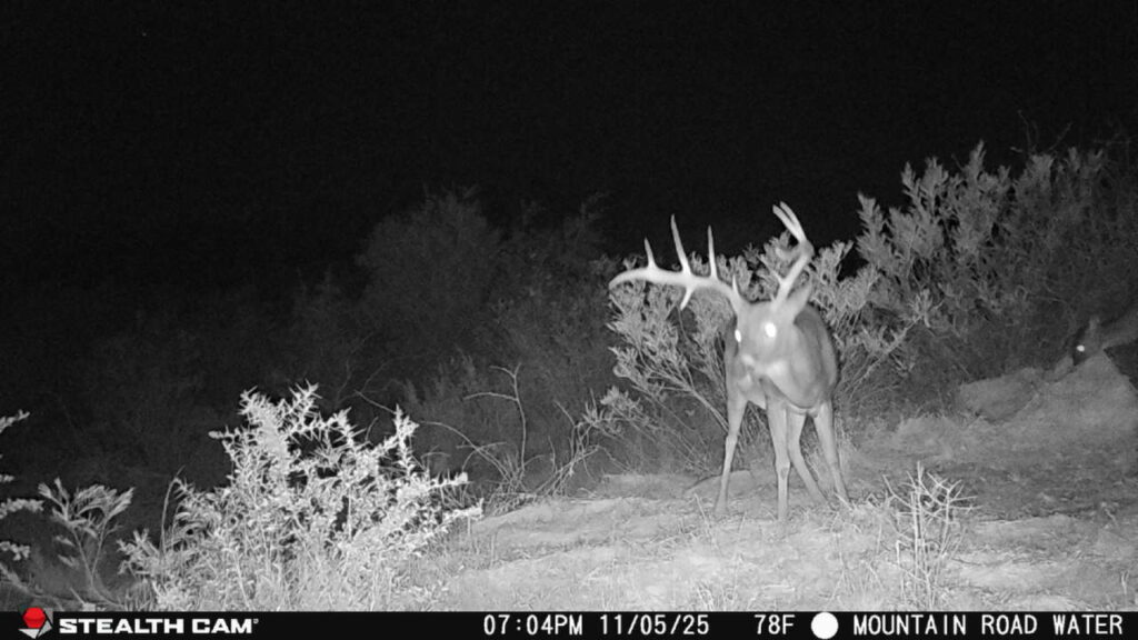 Indian Creek Ranch – Wildlife – Image 19