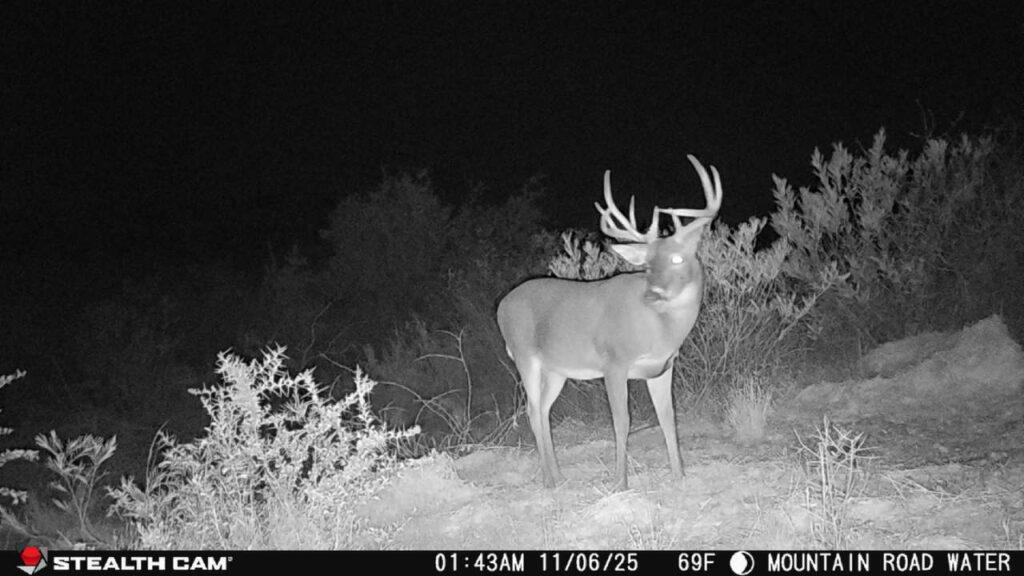 Indian Creek Ranch – Wildlife – Image 17