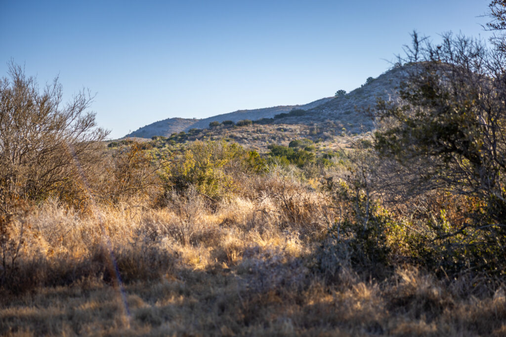 Indian Creek Ranch – Views & Vistas – Image 20