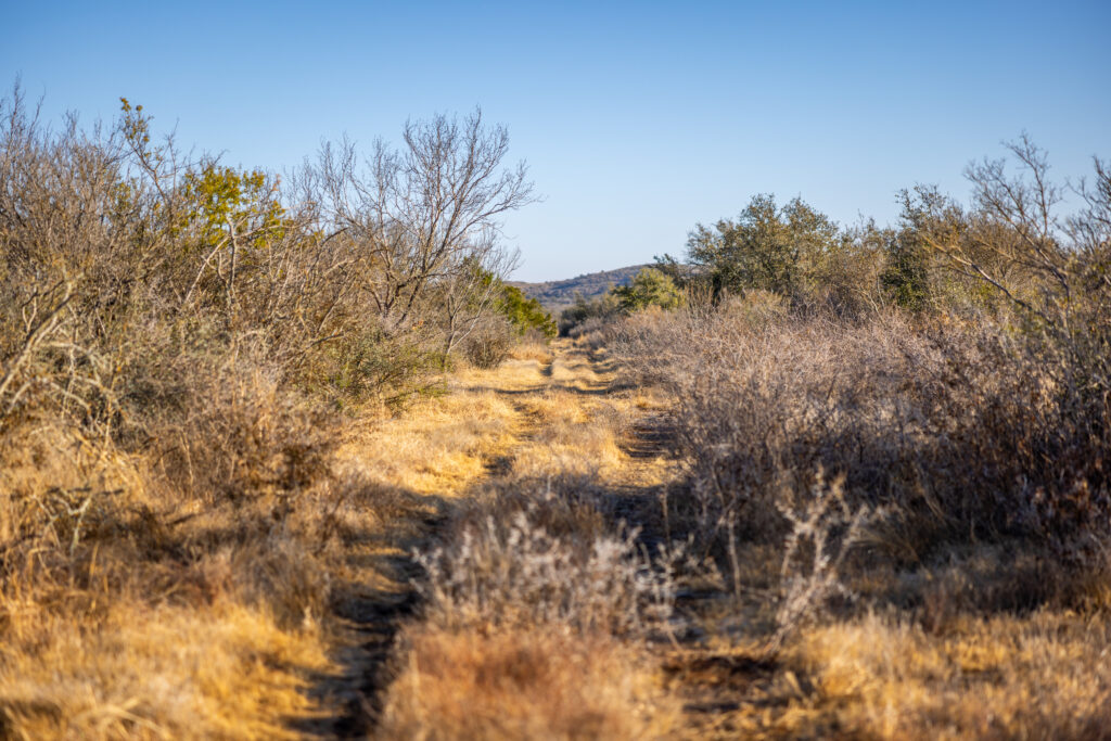 Indian Creek Ranch – Roads & Trails – Image 20