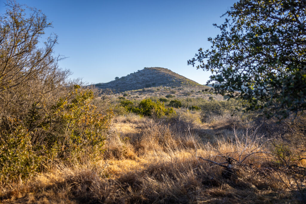 Indian Creek Ranch – Views & Vistas – Image 19