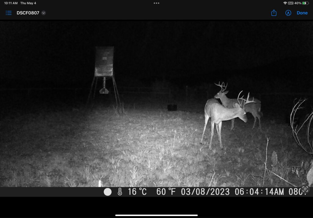 Indian Creek Ranch – Wildlife – Image 11