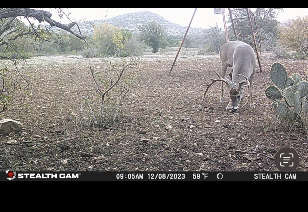 Indian Creek Ranch – Wildlife – Image 15