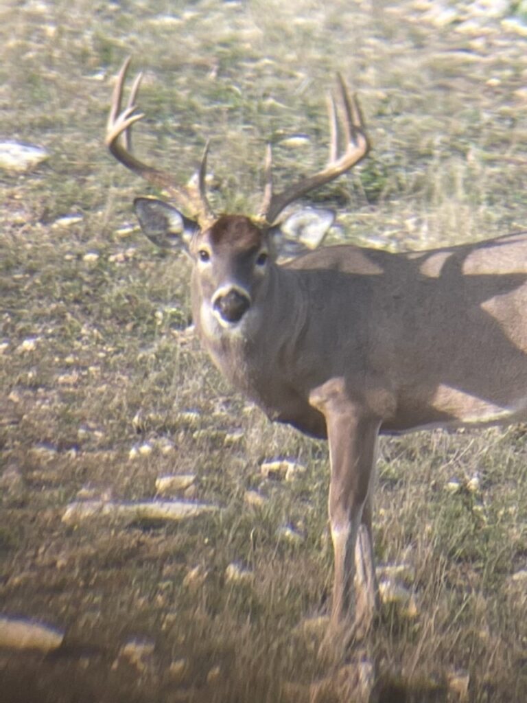 Indian Creek Ranch – Wildlife – Image 13